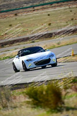 media/Jan-27-2024-VIP Trackdays (Sat) [[15b9b18693]]/Group A/Session 2 (Turn 3)/